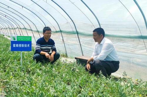 沭阳律师吃瓜,法律界人士的“瓜田李下”