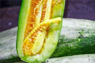 网红吃瓜事件,揭秘网络舆论背后的真相与争议