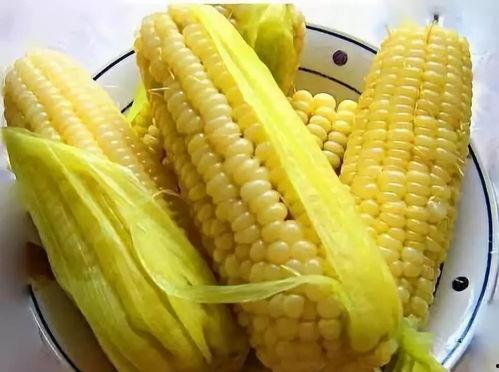 沉浸式吃玉米瓜甜,玉米瓜甜蜜时光的味蕾之旅