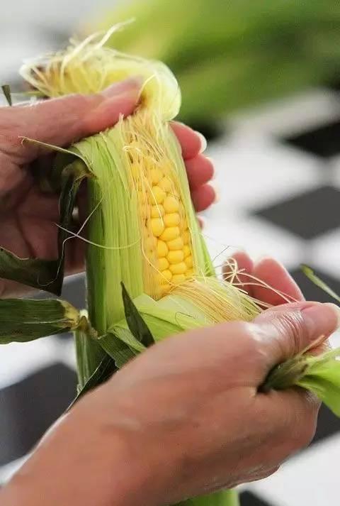 沉浸式吃玉米瓜甜,玉米瓜甜蜜时光的味蕾之旅