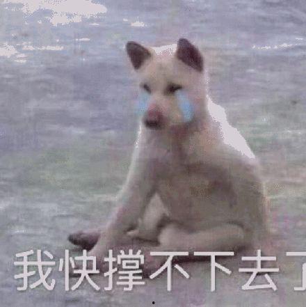 听楼上吵架吃瓜