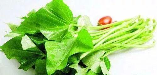 眼镜叶叶吃瓜,眼镜叶叶的夏日吃瓜日记