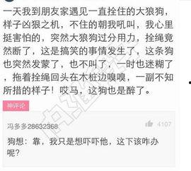 吃瓜解说搞笑图片,笑料横生！吃瓜解说带你领略搞笑图片的魅力