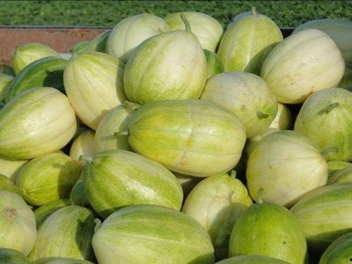 瓜怎么吃才最甜,瓜类美食的最佳食用方法