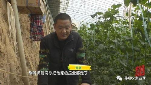 吃瓜街道办瓜主任,揭秘基层治理中的“瓜”事风云