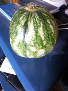 吃瓜求瓜,吃瓜求瓜，带你领略明星幕后故事