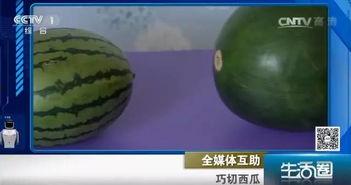 专业吃瓜吐籽,揭秘娱乐圈幕后真相