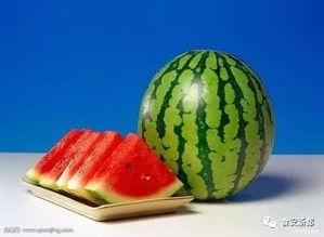 什么瓜适合榨汁吃呢