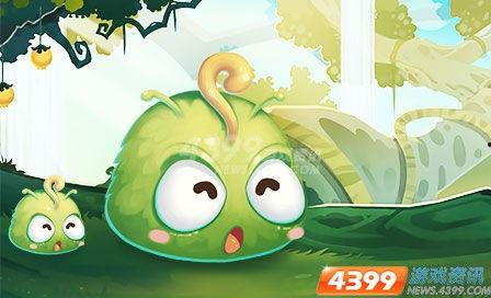 大虫虫吃瓜,一场生态与美食的奇妙邂逅