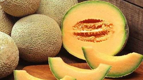 霜降吃哈密瓜,传统美食新体验