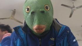 带你吃瓜物种组合,带你探索奇特的“带你吃瓜”物种组合之谜