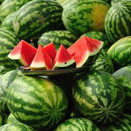 夏天吃瓜减肥头像