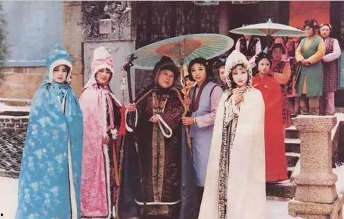 吃瓜侍女后续故事