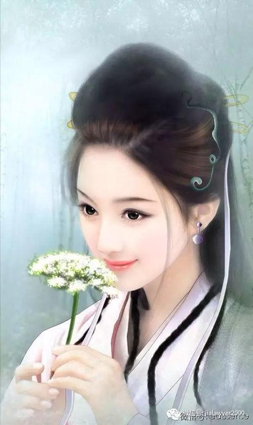 吃瓜侍女后续故事