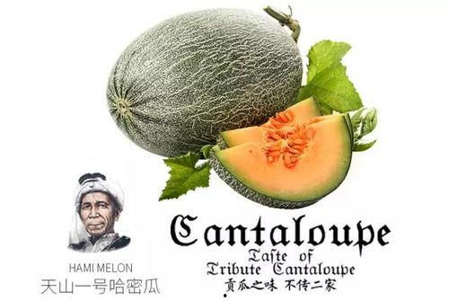 伦敦吃瓜公众号,揭秘伦敦美食圈那些事儿