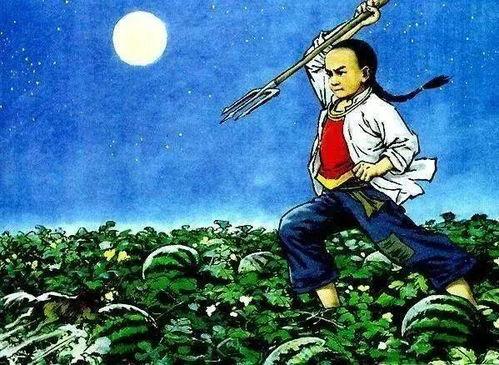 吃瓜吃到高人指路,揭秘娱乐圈背后的真相与智慧