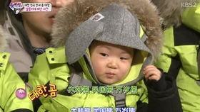 吃瓜小熊招娣,揭秘娱乐圈背后的甜蜜瓜田