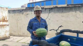 山顶吃瓜的快乐,尽享悠然快乐时光