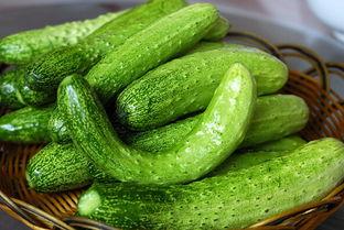 藕池吃瓜,一场别开生面的吃瓜盛宴