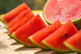 南京财经吃瓜视频资,吃瓜视频背后的真实故事