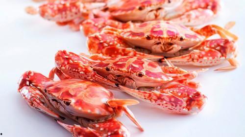 哈密瓜与鸡翅能一起吃吗,营养搭配与食用建议