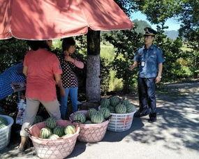 吃瓜群众9010,揭秘吃瓜群众的狂欢盛宴