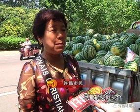 吃瓜群众9010,揭秘吃瓜群众的狂欢盛宴