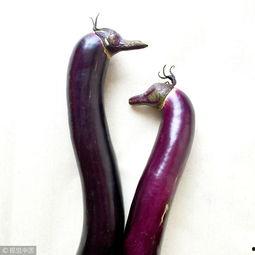 广东矮瓜怎么吃