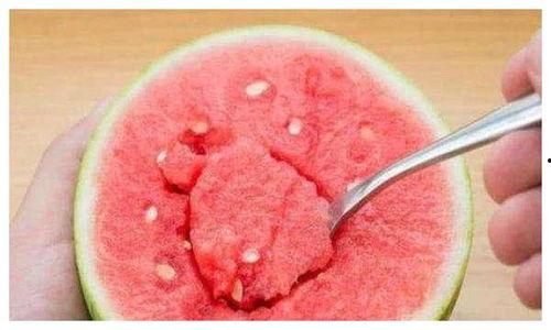 吃瓜网友聚集地