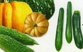 瓜打药几天吃,瓜果用药周期与食用安全指南