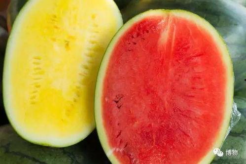 瓜打药几天吃,瓜果用药周期与食用安全指南