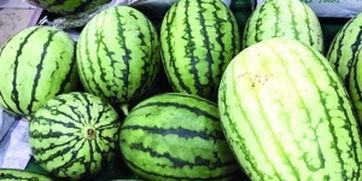 昆明瓜哪里吃,昆明瓜果美食之旅