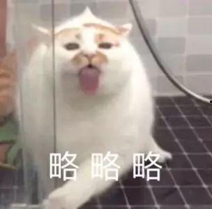 懒猫儿吃瓜直播,揭秘网红幕后生活