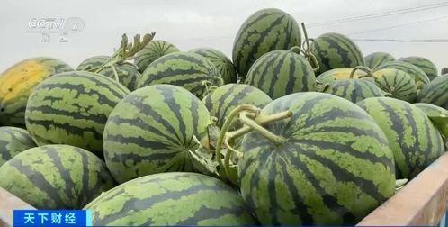 长沙雨花区吃瓜李某某,揭秘长沙街头热议的神秘人物