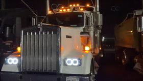 卡车猫王吃瓜,瓜田里的欢乐食光