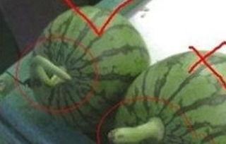 吃瓜的瓜仔,揭秘娱乐圈那些事儿