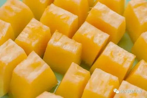 吃瓜群众冰淇淋蜜瓜,吃瓜群众冰淇淋蜜瓜，清凉一夏！