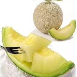 吃瓜群众冰淇淋蜜瓜,吃瓜群众冰淇淋蜜瓜，清凉一夏！