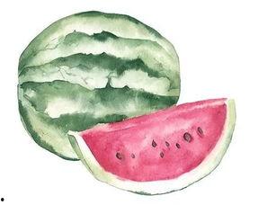 吃瓜之者,吃瓜群众眼中的明星生活