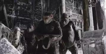 吃瓜巨制,揭秘娱乐圈幕后真相，带你领略明星们的真实生活