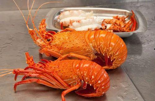 澳洲吃龙虾中国吃瓜,中澳两国美食文化大碰撞