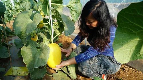 带你吃瓜奇葩古诗,带你领略“吃瓜”古诗的独特魅力